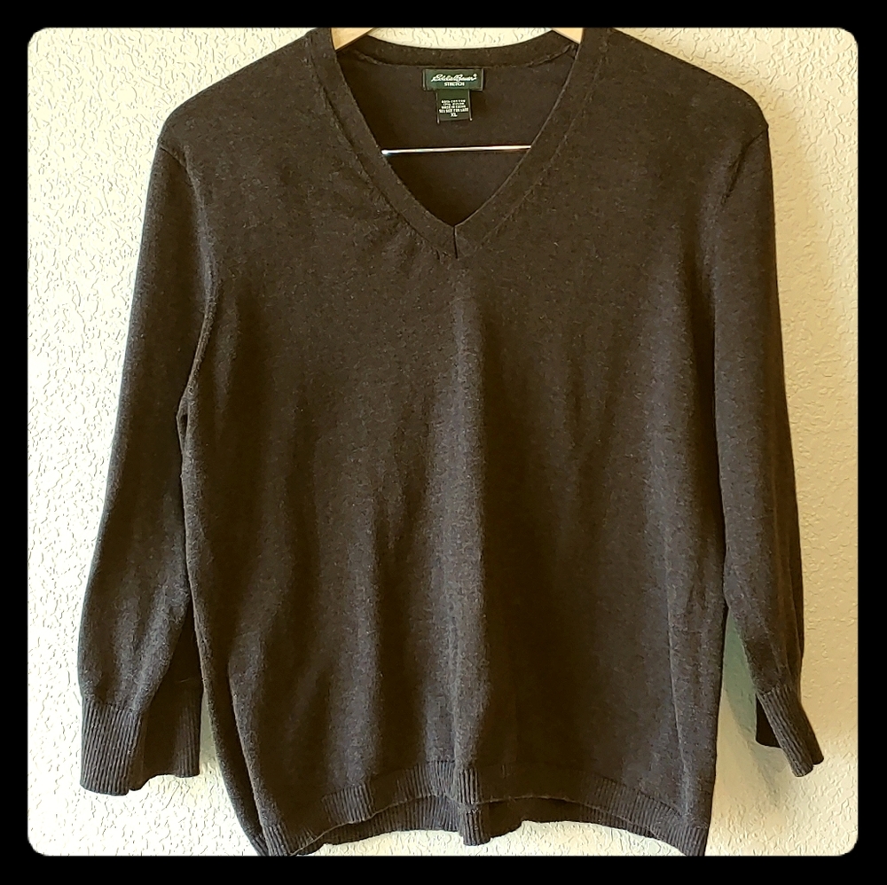 Brown Eddie Bauer Stretch v-neck sweater